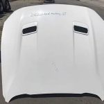 2018-2020 Ford Mustang GT Hood