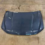 2023 F150 Tremor Hood