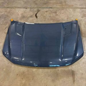 2023 F150 Tremor Hood