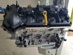 MPR Built Coyote 5.0 Longblock - Image 5