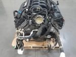 Ford Mustang Shelby GT350 Voodoo 5.2L Engine Tremec 6 Speed Trans - Image 3