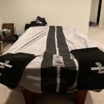 GT350 OEM gray/black stripes car cover and Lloyd’s black carpets