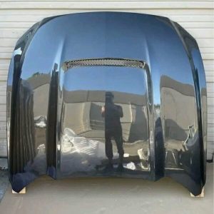 2015 2016 2017 Ford Mustang Carbon Creations GT350  Hood
