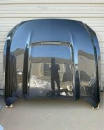 2015 2016 2017 Ford Mustang Carbon Creations GT350  Hood