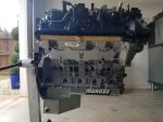 MPR Built Coyote 5.0 Longblock - Image 6